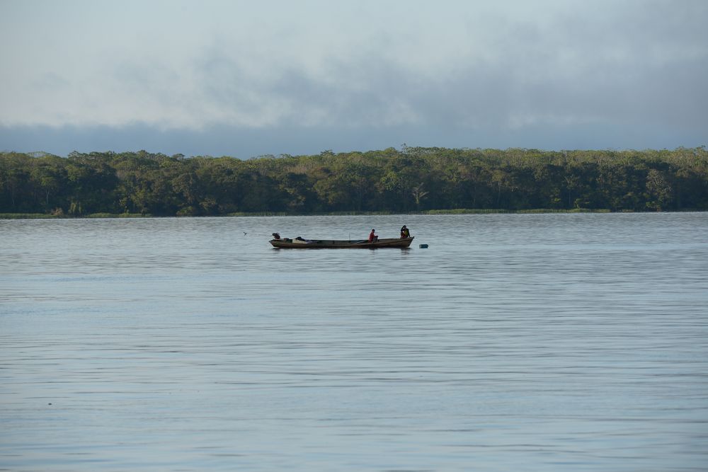 Meio Ambiente — proposta 5: Licenciamento ambiental mais moderno e digital